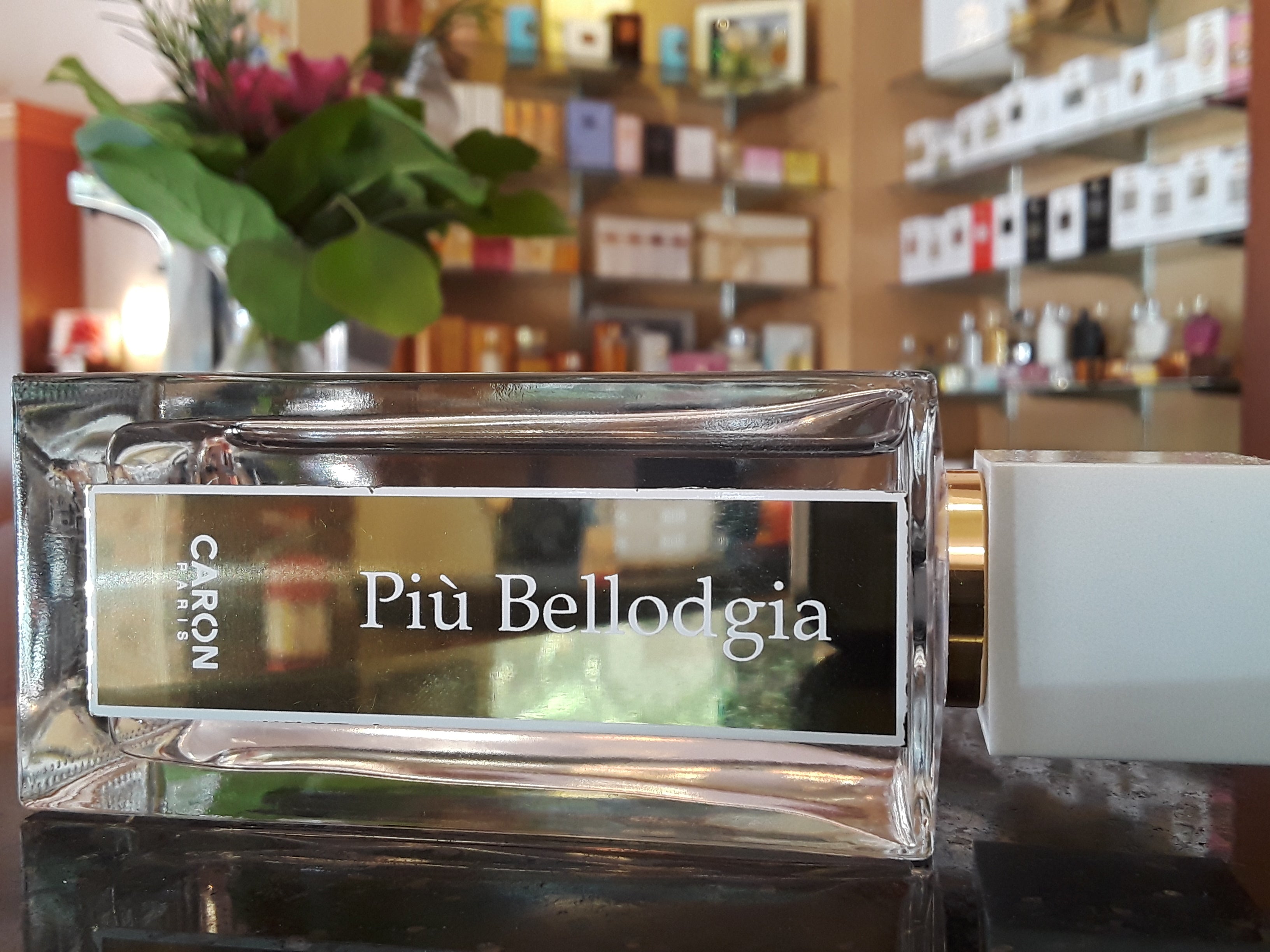 Piu Bellodgia