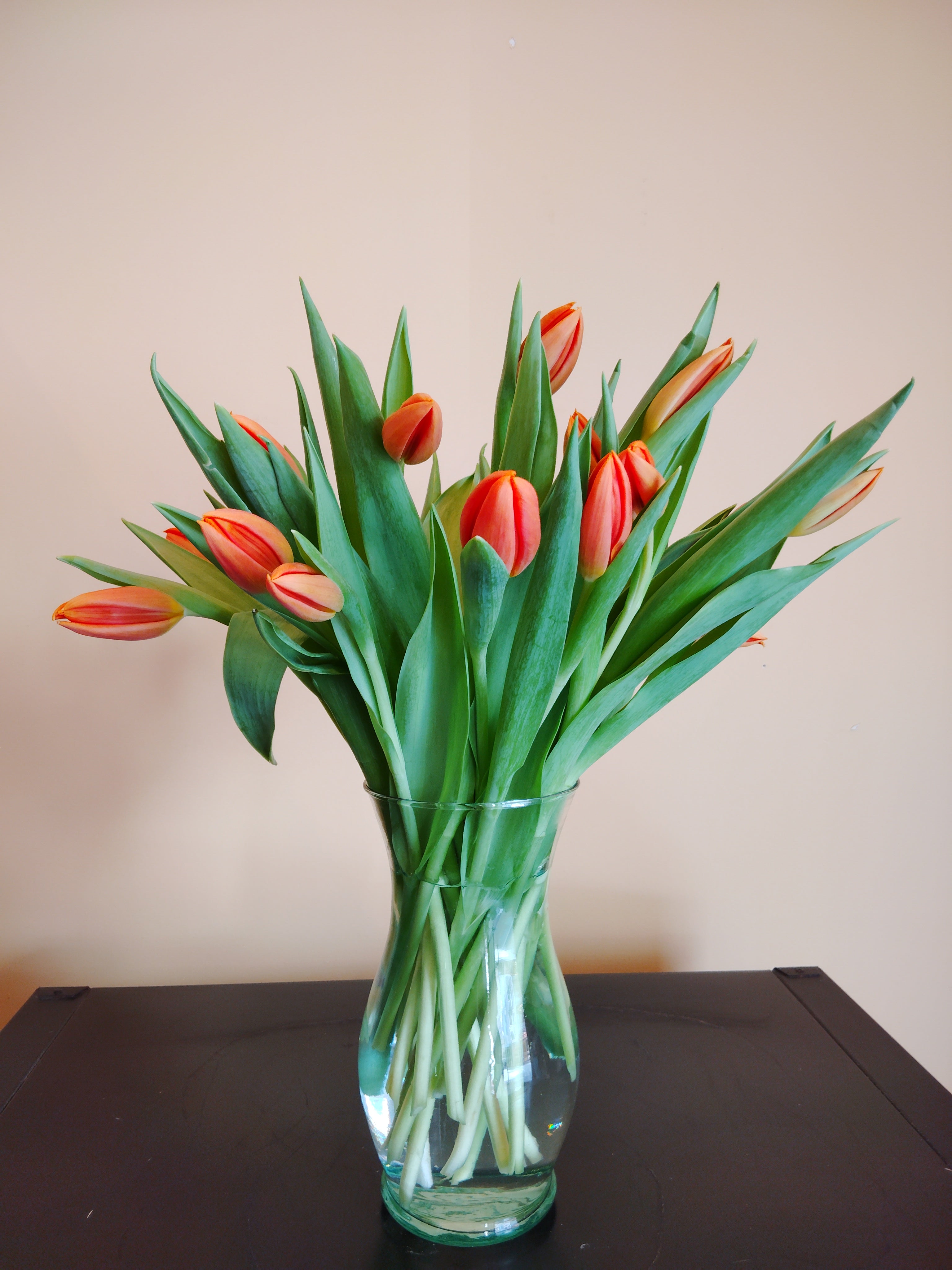 Two Dozen Tulips